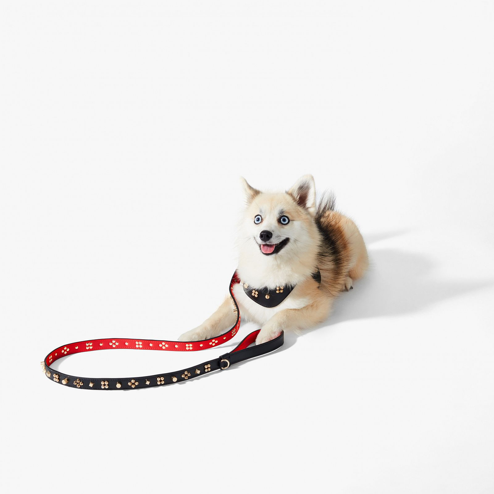 Pets Accessories - Loubileash M - Christian Louboutin
