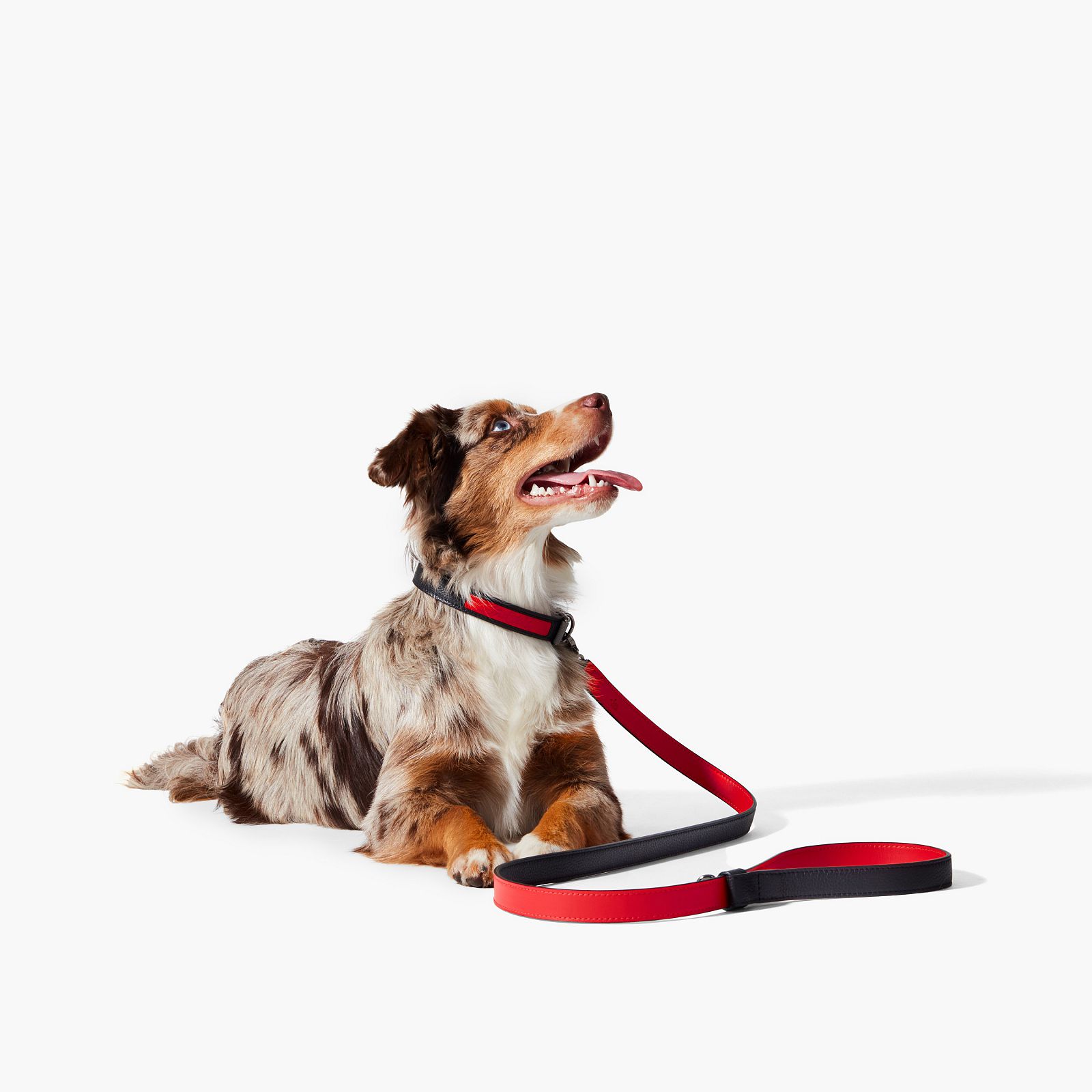 Pets Accessories - Loubileash M - Christian Louboutin